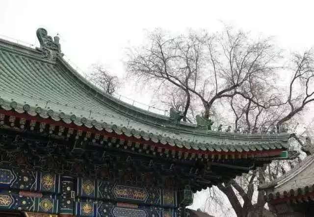 干貨分享丨古代沒有種類繁多的防水材料,是如何做建筑防水的?- 干貨分享丨古代沒有種類繁多的防水材料,是如何做建筑防水的?-