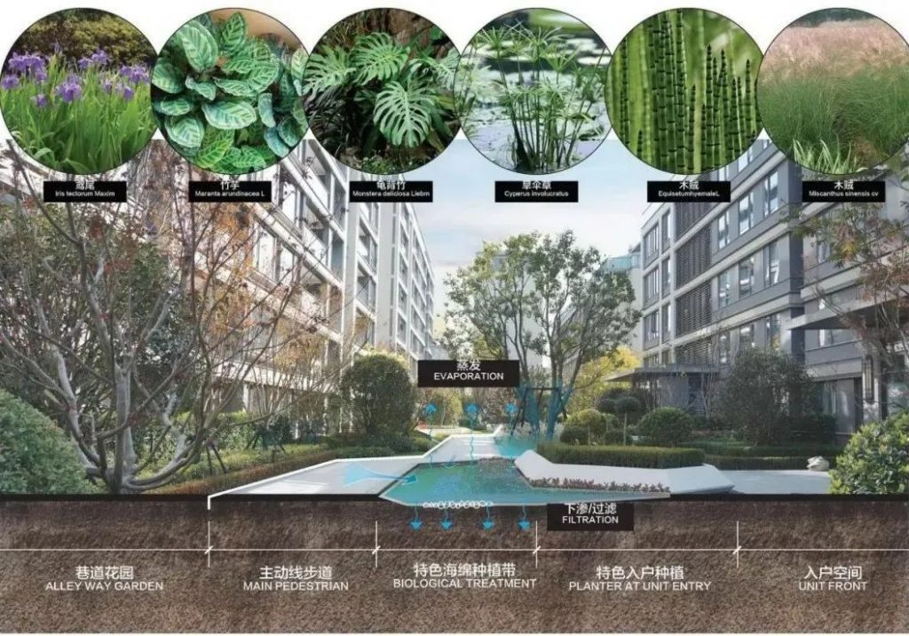 “會呼吸”的城市——海綿城市內容詳解- “會呼吸”的城市——海綿城市內容詳解-